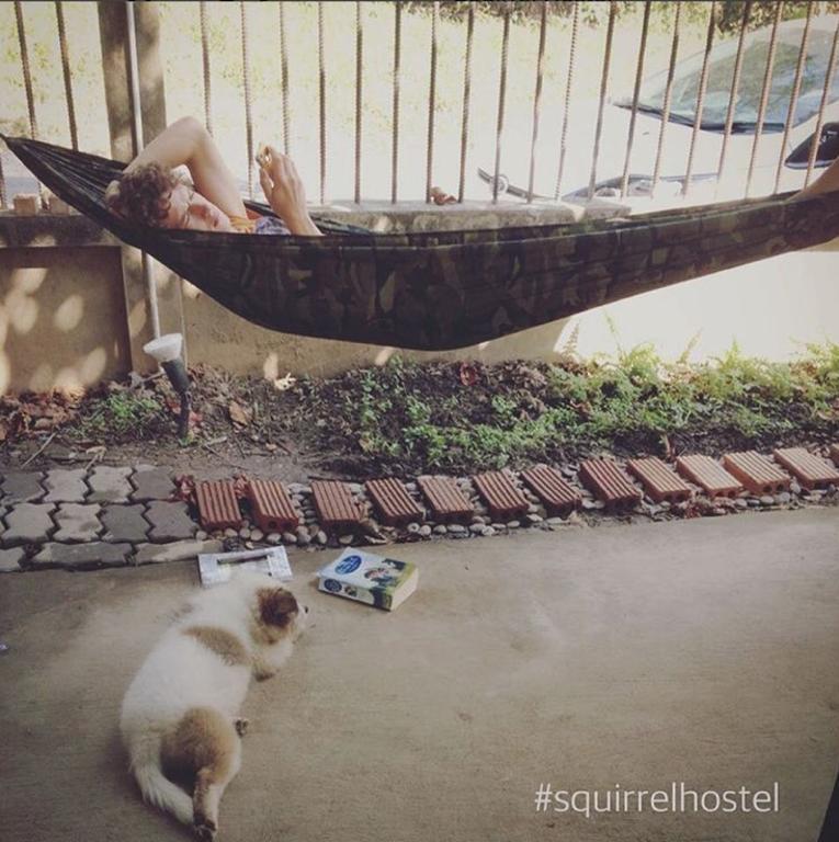 Squirrel Hostel Chiang Mai Bagian luar foto